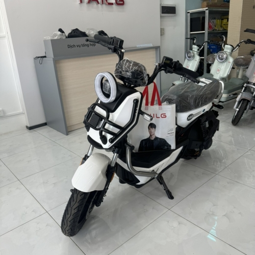 Xe đạp điện TailG Bạc