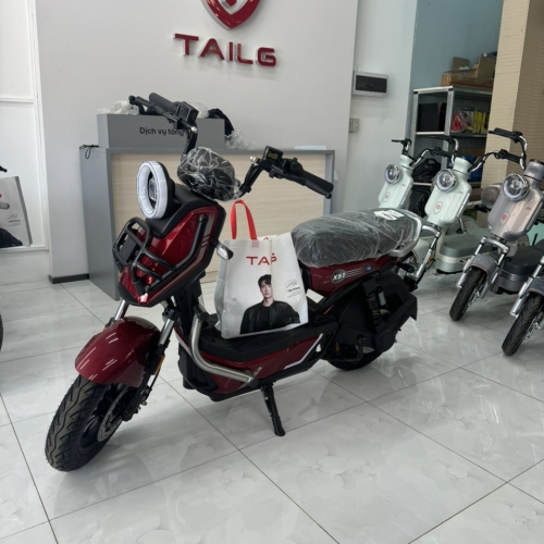Xe đạp điện TailG Bạc